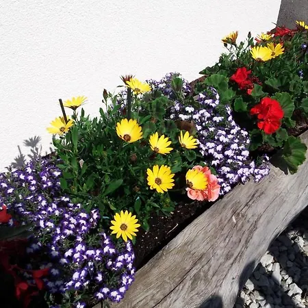 Daire Haus Rosmarie Rehoboth Beach