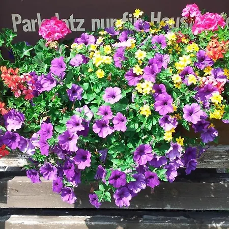 Haus Rosmarie * Rehoboth Beach