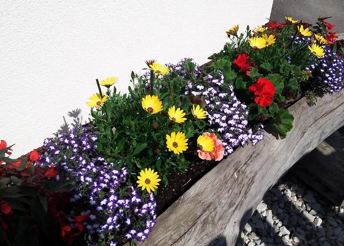 アパート Haus Rosmarie ノイシュティフト・イム・シュトゥーバイタール