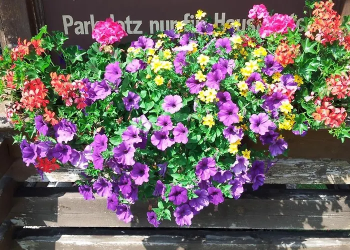 Haus Rosmarie * ノイシュティフト・イム・シュトゥーバイタール