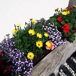 Apartman Haus Rosmarie Neustift im Stubaital